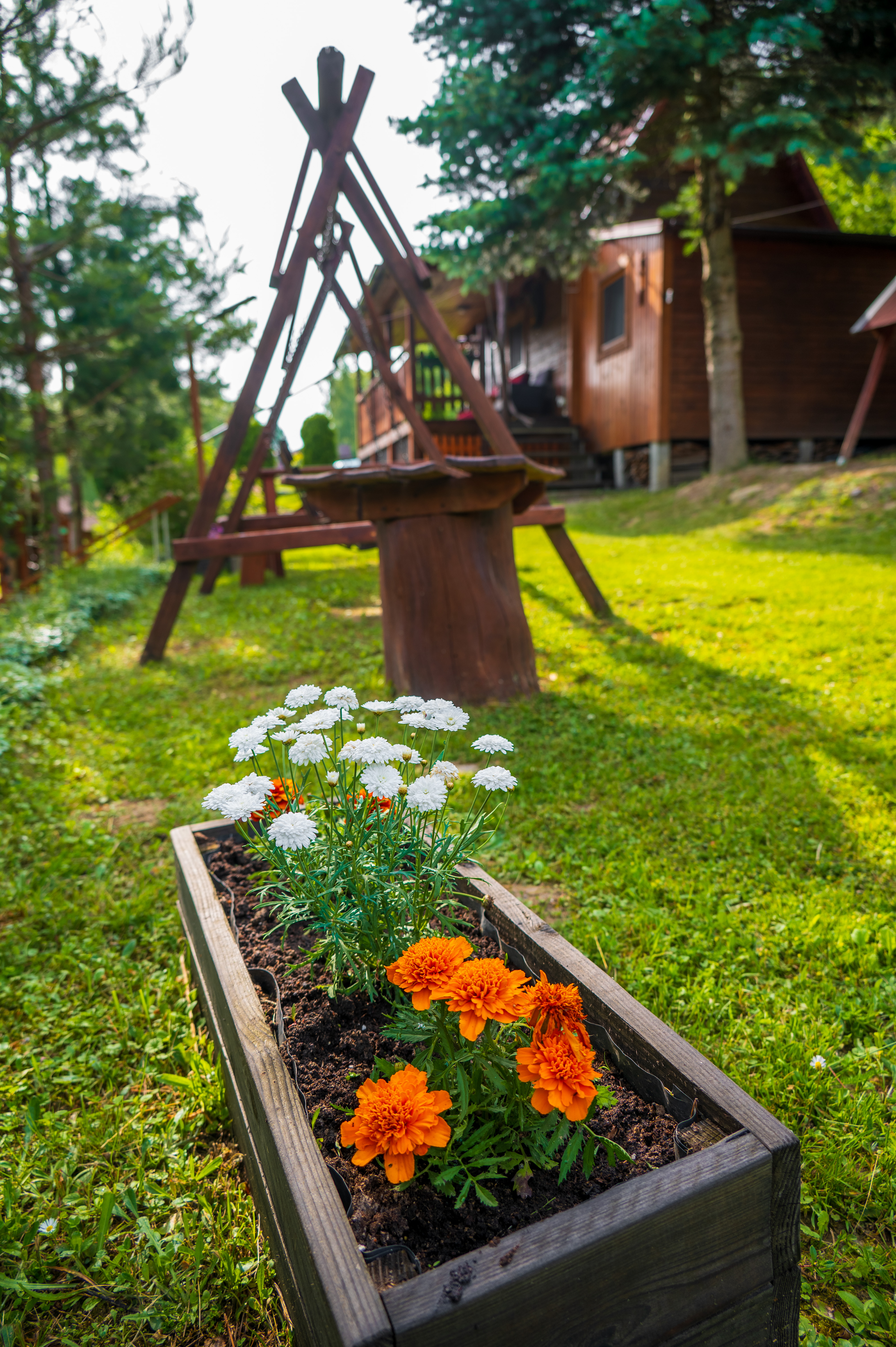 Teren — widok ogólny