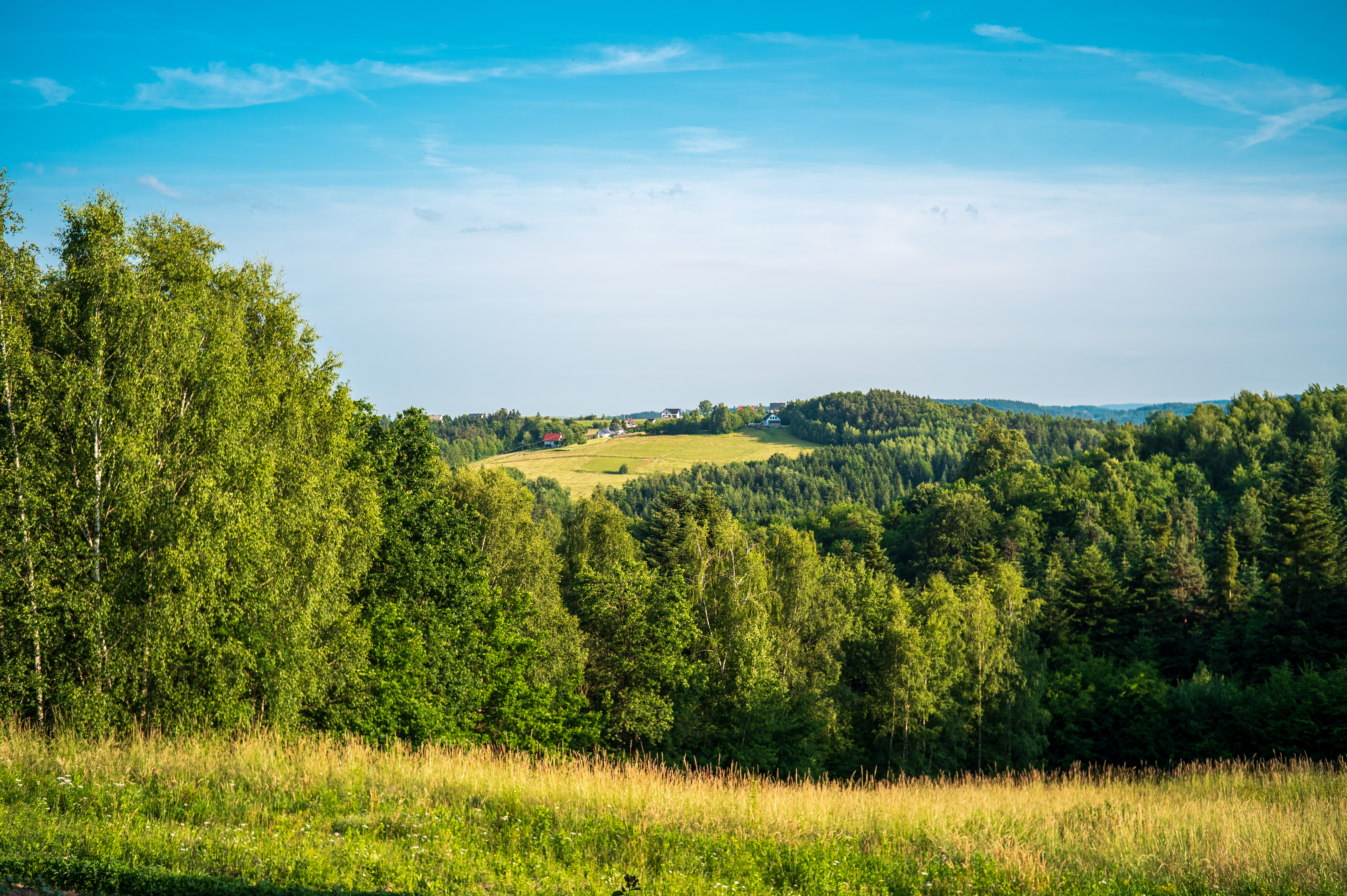 Okolica — przyroda