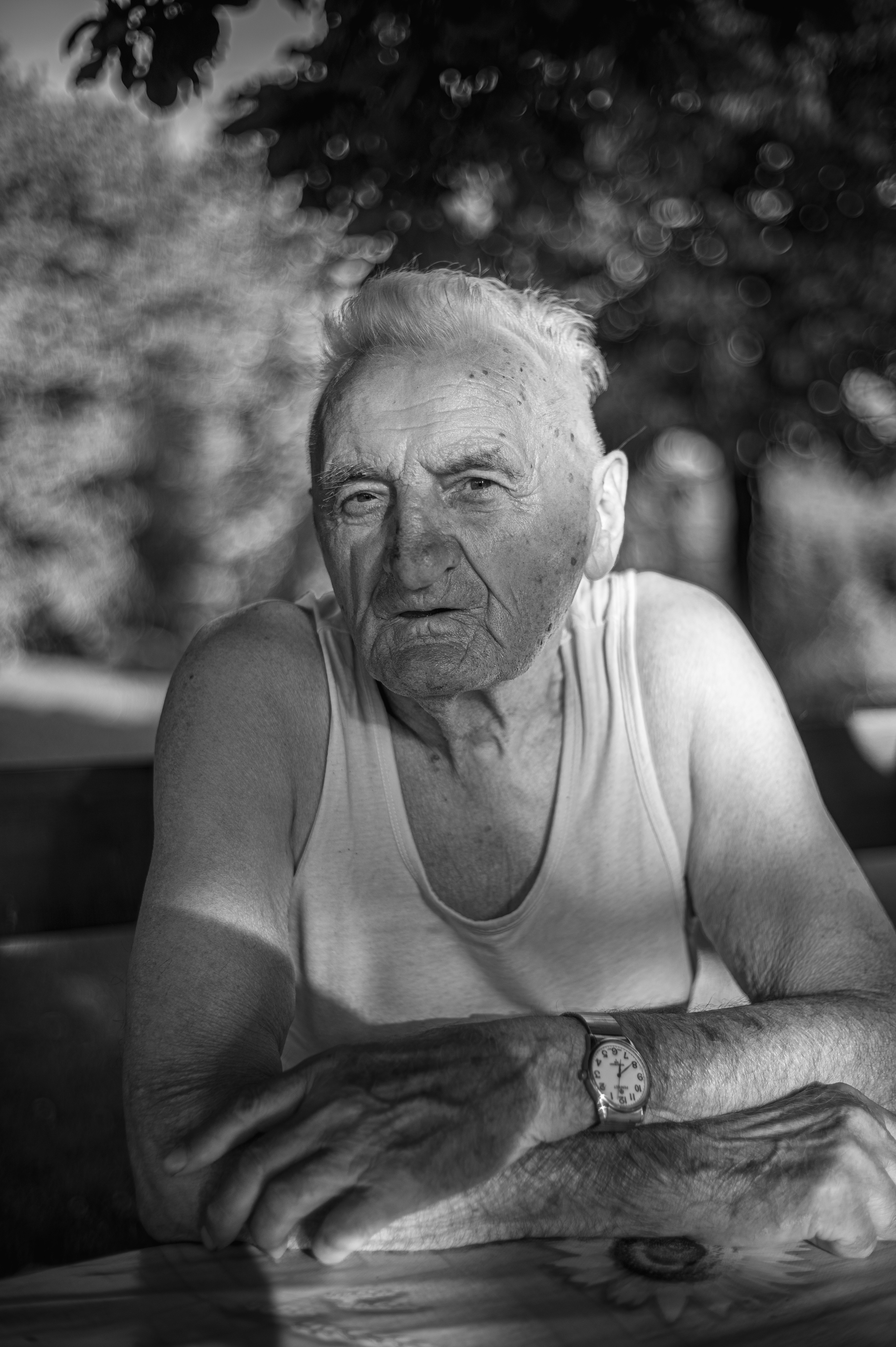 Portret — właściciel