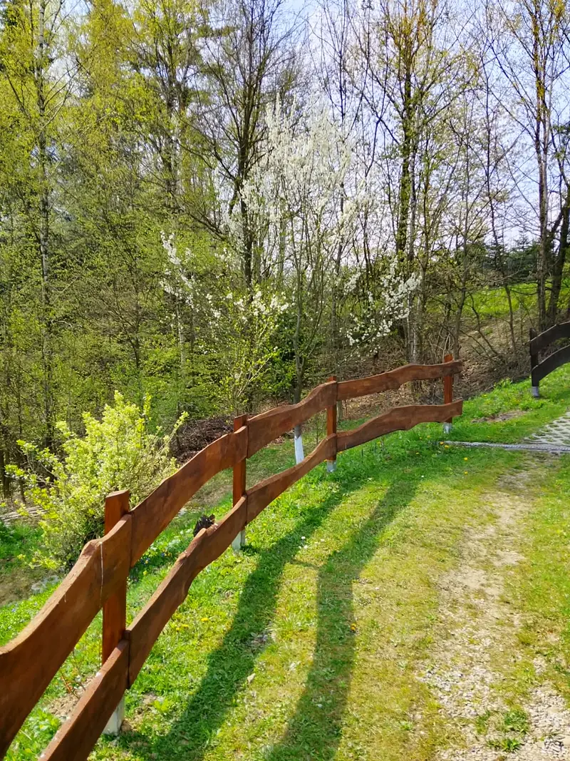 Wiosna w ogrodzie — kwitnące drzewa za płotem