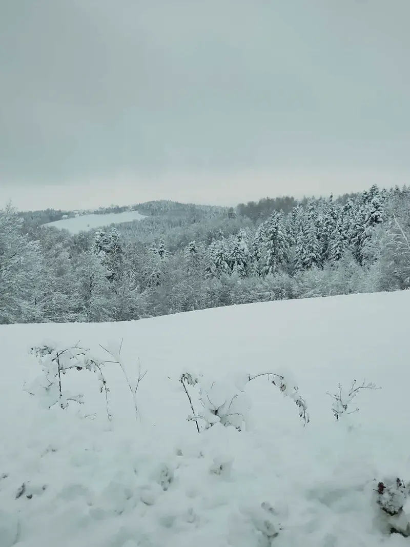 Zimowy krajobraz Pogórza — zaśnieżone wzgórza