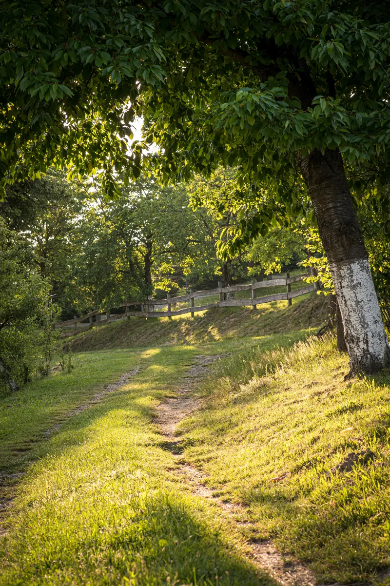 Okolica — widok na wzgórza