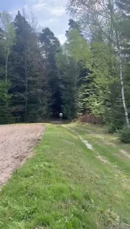 Film — Teofilówka